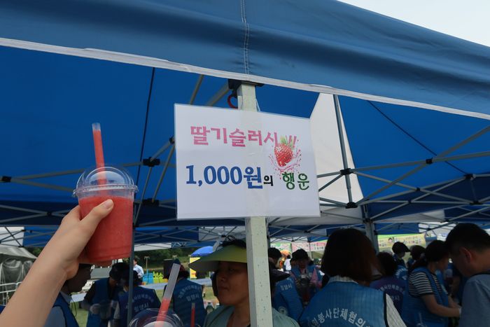 밀양시 자원봉사단체협의회의 딸기슬러시 / 사진= 문서연 여행+ 기자