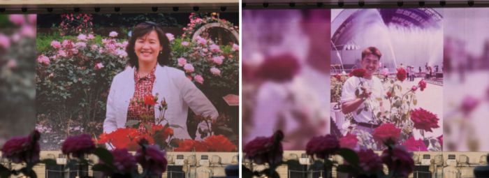 에버랜드 장미축제 40주년을 맞아 그간 고객 추억 담긴 인공지능(AI) 활용 영상 / 사진=김혜성 여행+ 기자