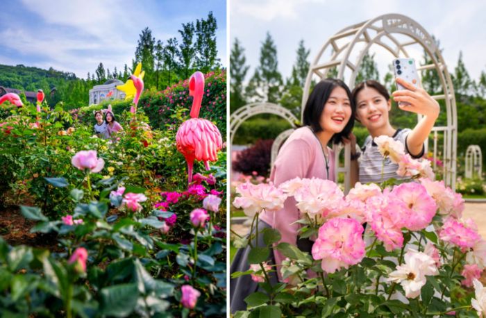 에버랜드 로로티 / 사진=삼성물산