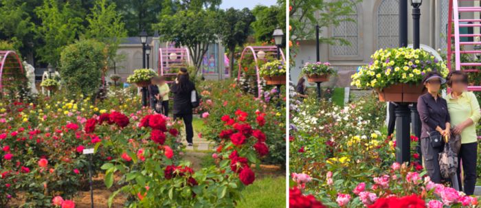에버랜드 로로티를 즐기고 있는 방문객의 모습 / 사진=김혜성 여행+ 기자