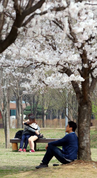 지갑 잠금쇠도 있는데 나만 짝이 없다. 2014년 3월 31일자 사진 뉴스 분야 최고 아웃풋이라고 감히 단언할 수 있는 연합뉴스 한종찬 기자의 ‘하나 그리고 둘’. [사진 출처=연합뉴스]