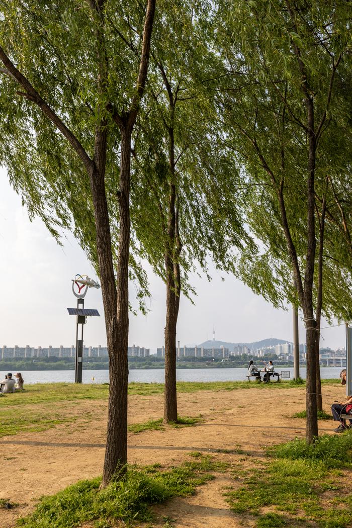 서래섬 산책로 / 사진=서울관광재단