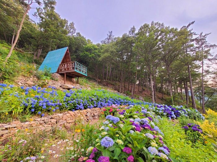 사진 = 전남도