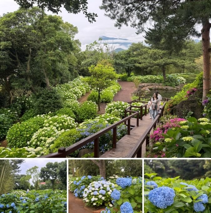 휴애리 자연생활공원 / 사진=홍지연 여행+ 기자