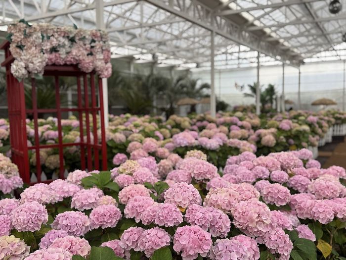 휴애리 자연생활공원 / 사진=홍지연 여행+ 기자