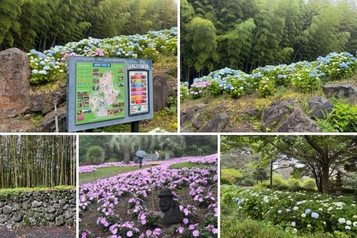 제주 최초 사립수목원 상효원 / 사진=홍지연 여행+ 기자