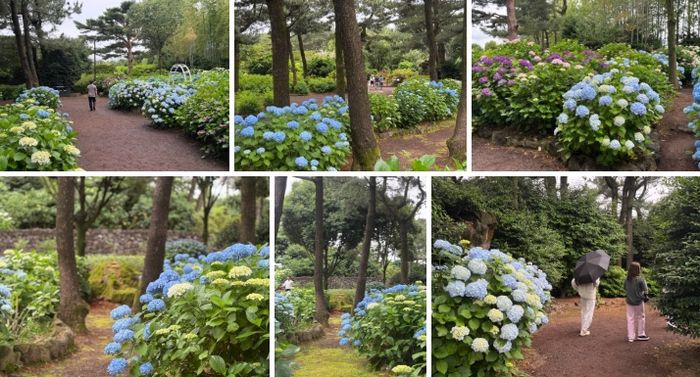 휴애리 자연생활공원 / 사진=홍지연 여행+ 기자