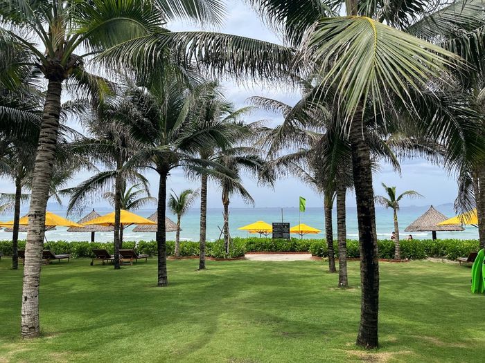 리조트에서 이어지는 바이다이 해변. [사진 = 최아영 기자]