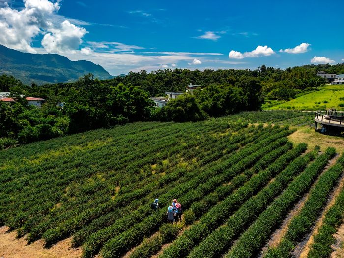 사진= 대만관광청