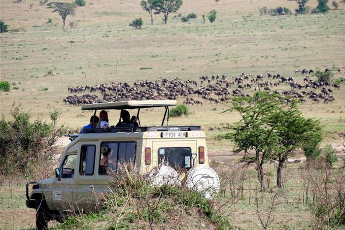 [사진출처 = 롯데홈쇼핑]
