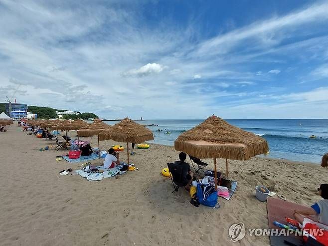 자료 사진 [출처=연합뉴스]