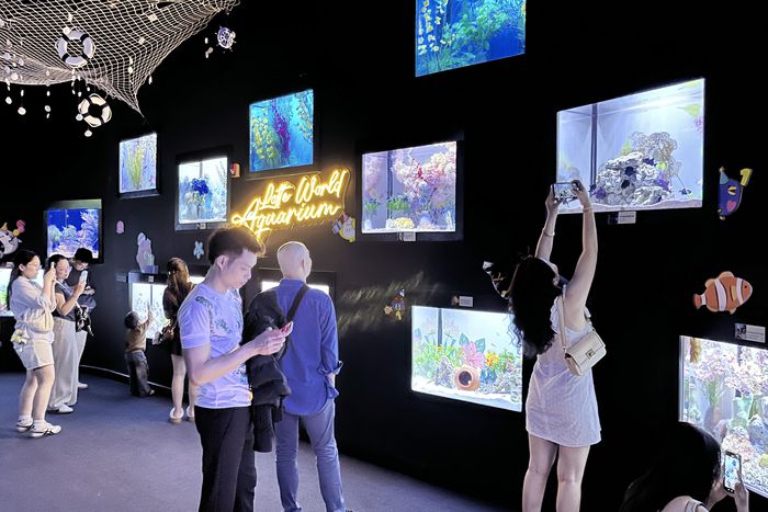 롯데월드 아쿠아리움 하노이 이벤트 수조를 관람하는 현지 방문객 / 사진=롯데월드
