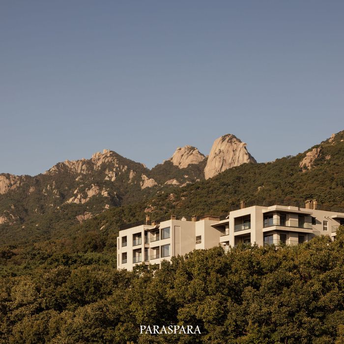 파라스파라 서울[사진 출처=네이버지도 갈무리(업체 등록 사진)]