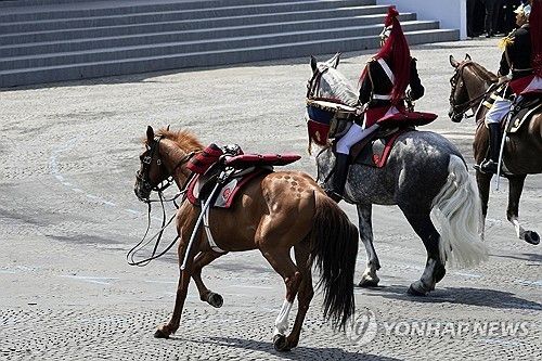 길 잃어 홀로 방황하는 행진馬. [사진출처 = 연합뉴스]