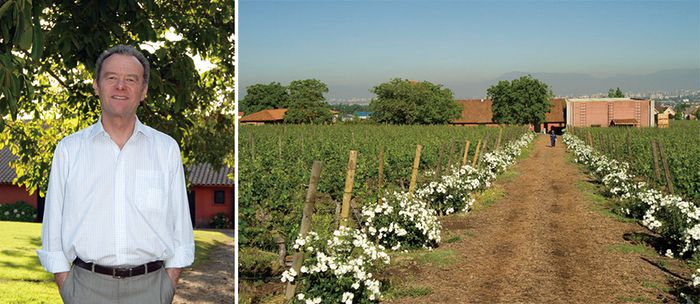 (좌) 칠레 와인 비냐 아키타니아의 설립자 중 한 명인 폴 퐁탈리에. 그는 샤토 마고 출신이다.  칠레 비냐 아키타니아 와이너리 전경.