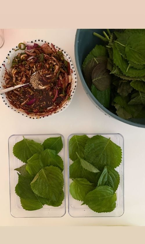 배우 엄정화가 힐링 그 자체인 제주 일상을 공개했다. 사진=엄정화 SNS