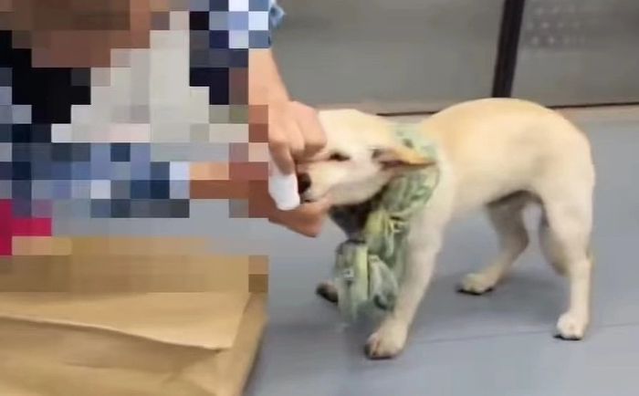 [사진출처=케어 인스타 갈무리]