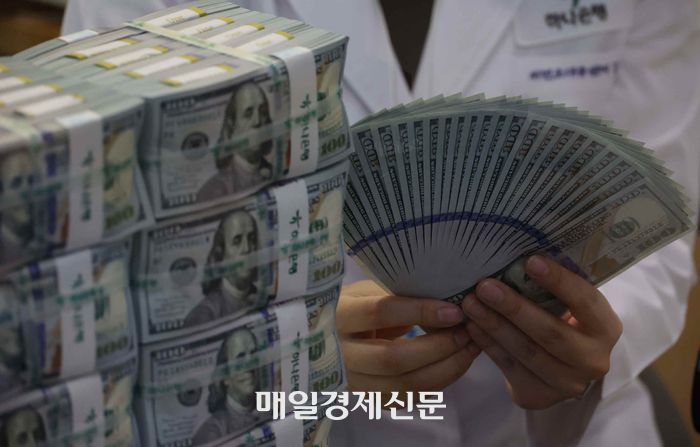 외환보유액 [한주형 기자]