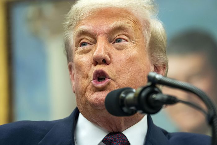 도널드 트럼프 미국 대통령이 6일(현지시간) 반도체에 약 100%의 품목별 관세를 부과할 것이라고 밝혔다.  UPI연합뉴스