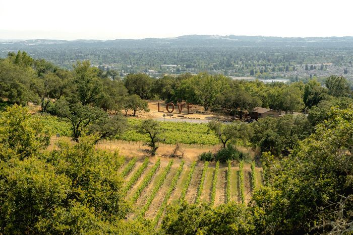 파라다이스 릿지 와이너리  / 사진=캘리포니아 관광청