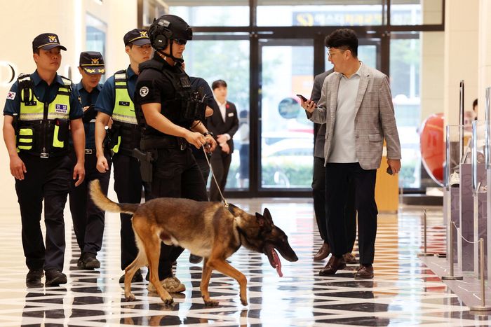 11일 광주 한 백화점에서 경찰특공대 탐지견이 폭발물을 탐색하고 있다. 경찰에 따르면 이날 오전 9시 30분께 ‘서구 롯데백화점’에 폭탄을 설치하겠다는 신고가 접수됐다. [사진 = 연합뉴스]