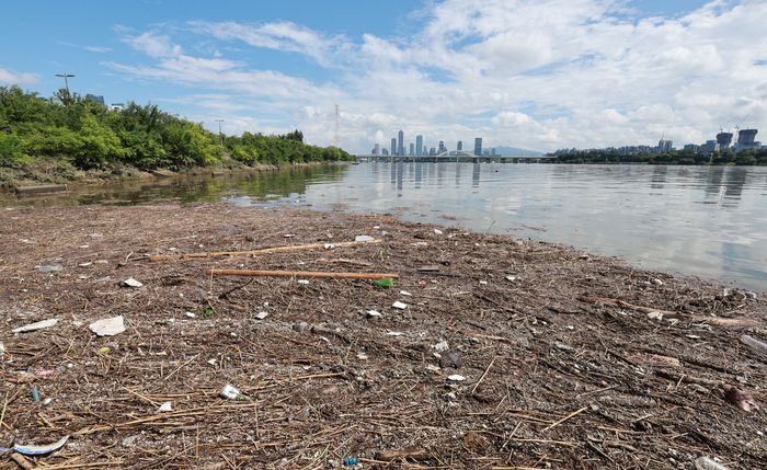 서울 마포구 한강 낚시전용공간에 집중호우로 떠밀려온 쓰레기가 걸려 있다. 2025.8.15 [사진=연합뉴스]