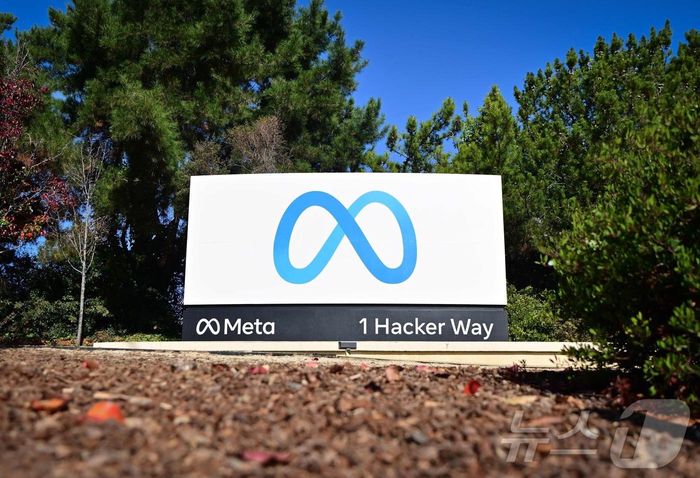 메타 [사진= AFP 뉴스1]