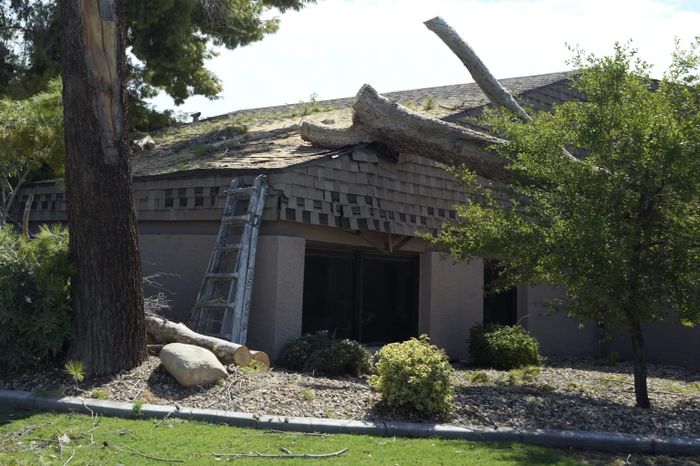 건물 지붕 위로 나무가 쓰러져있다. [AP = 연합뉴스]