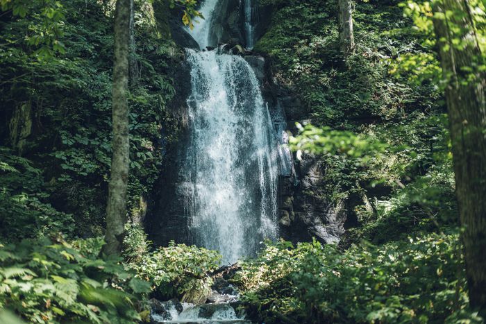 오이라세 계류.  /사진= 호시노 리조트