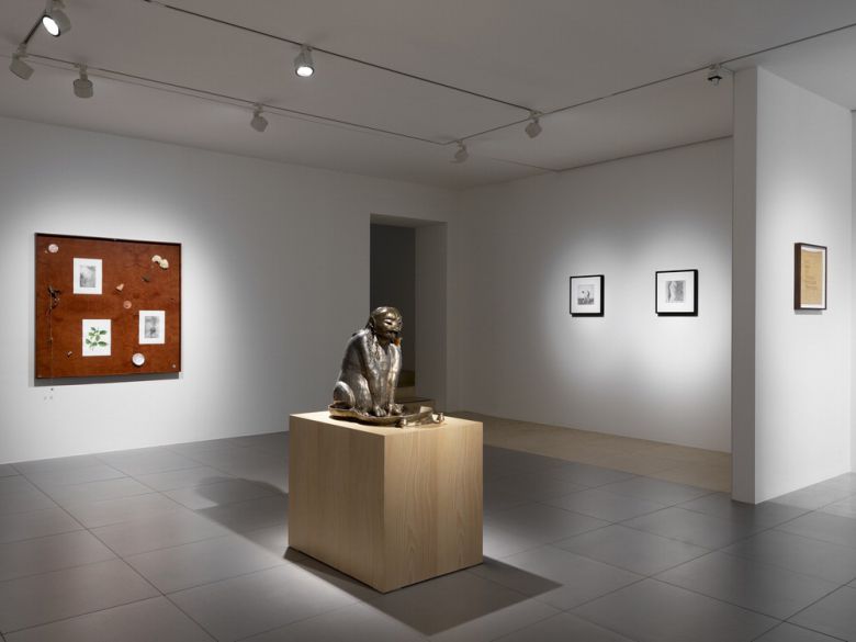 이강승·캔디스 린 작가의 2인전이 열리고 있는 서울 종로구 현대화랑 전시장 전경.  갤러리현대