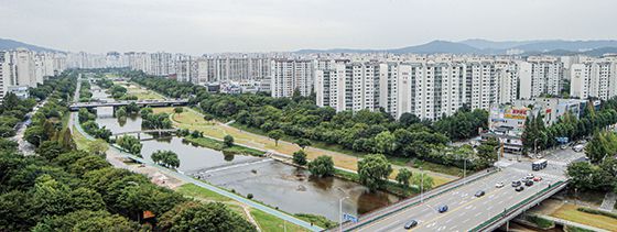 경기도 성남시 분당구에 아파트 밀집지역. <사진 연합뉴스>