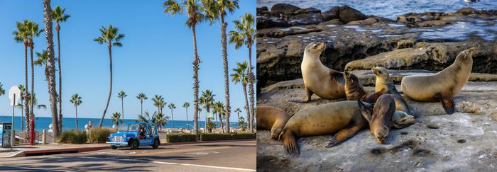 샌디에이고 해변 전경(왼쪽)과 바다사자 / 사진=캘리포니아 관광청