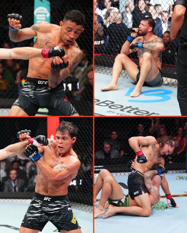 제앙 실바는 ‘파이팅 너드’의 마지막 자존심이었다. 최근 카이오 보할류, 마우리시우 루피, 카를로스 프라치스 등의 무패 행진이 끊기면서 단 하나 남은 무패 파이터였던 것. 하나, 로페스의 벽을 넘지 못하면서 그 역시 1패를 안게 됐다. 사진=MMA 오르빗 SNS