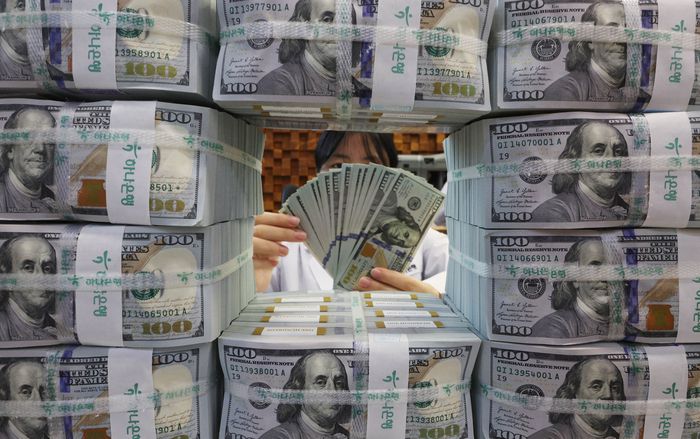 서울 명동 하나은행 위변조대응센터에서 직원이 달러화를 옮기는 모습. [이충우 기자]