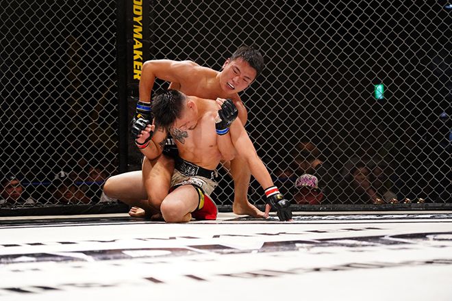 KMMA 플라이급 도전자 결정전 출신 박화랑이 2025년 9월 일본 오사카 글래디에이터 032에서 전승 파이터 이와사키 케이고를 그래플링으로 몰아붙이고 있다. 사진=대구반월당역 뽀빠이연합의원 제공