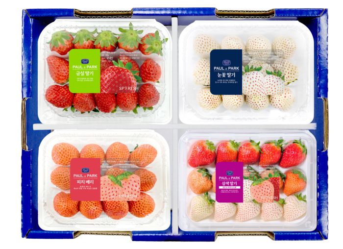 SP아그리에서 수확해 판매한 딸기 제품.
