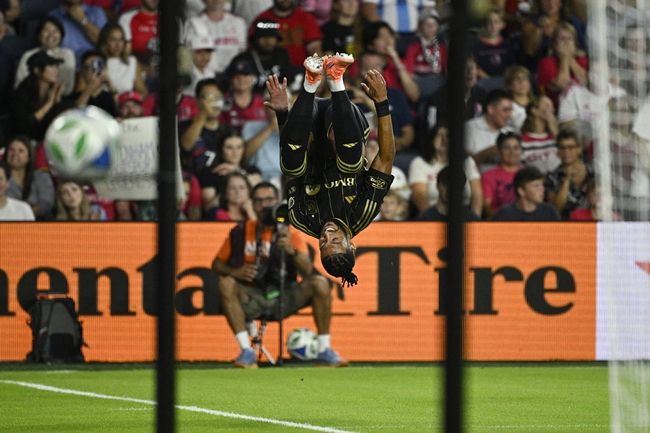 사진(미국, 세인트루이스)=Imagn Images=연합뉴스 제공