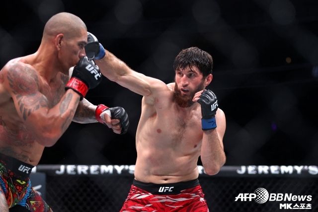 최근 두 사람 사이에 갈등이 있었다. 페레이라가 UFC 퍼포먼스 인스티튜트(UFC P.I.)를 찾았을 때 안칼라에프가 자신을 피해 숨으려 했다고 주장한 것. 그러나 안칼라에프는 오히려 페레이라 앞에 당당히 섰고 이로 인해 개인적인 감정까지 더한 매치업이 됐다. 사진=AFPBBNews=News1