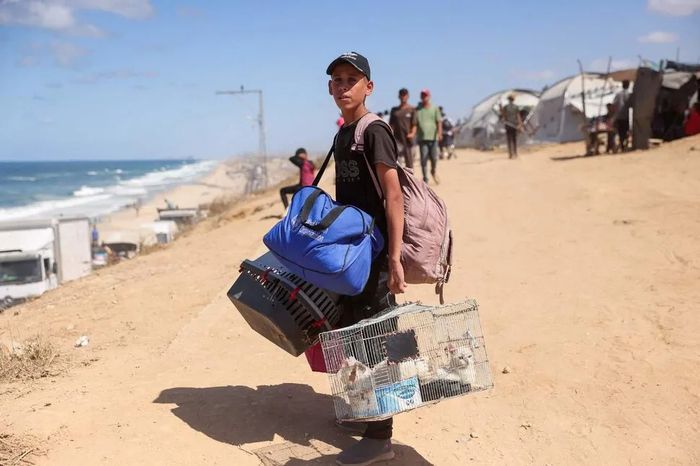 1일(현지시각) 한 팔레스타인 소년이 고양이가 든 철창을 들고 팔레스타인 가자지구 북부에서 해안도로를 따라 남쪽으로 피난을 가고 있다. [AFP = 연합뉴스]