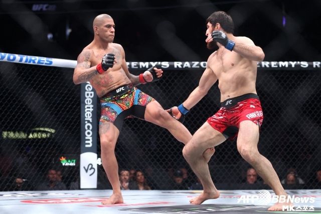 안칼라에프와 페레이라의 2차전은 이러한 개인적 감정까지 더하면서 더욱 뜨거워지고 있다. 지난 1차전은 다소 소극적인 페레이라의 퍼포먼스로 인해 대단히 안정적이었던 안칼라에프가 승리했다면 이번에는 다를 것이다. 안칼라에프의 견고함을 페레이라가 화끈한 타격전으로 뚫어야 하는 만큼 1차전보다 더 잔혹한 승부가 될 것으로 예상된다. 사진=AFPBBNews=News1