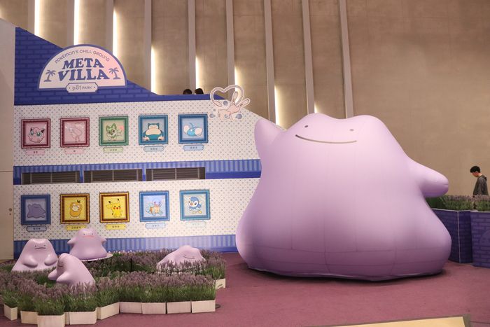 포켓몬: 메타 빌라 / 사진= 문서연 여행+ 기자