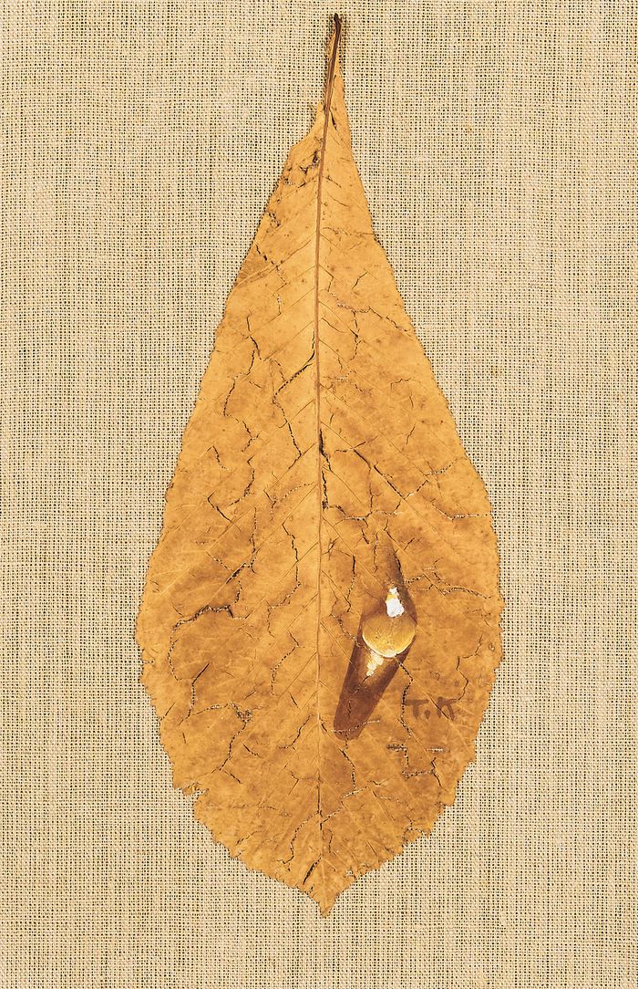 나뭇잎에 그린 김창열 ‘물방울’, leaf 30.5×20cm
