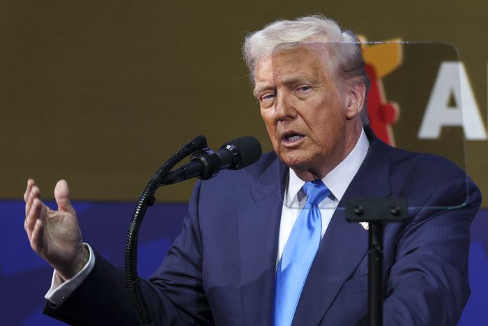 APEC CEO 서밋, 연설하는 트럼프 미국 대통령 [김호영 기자]