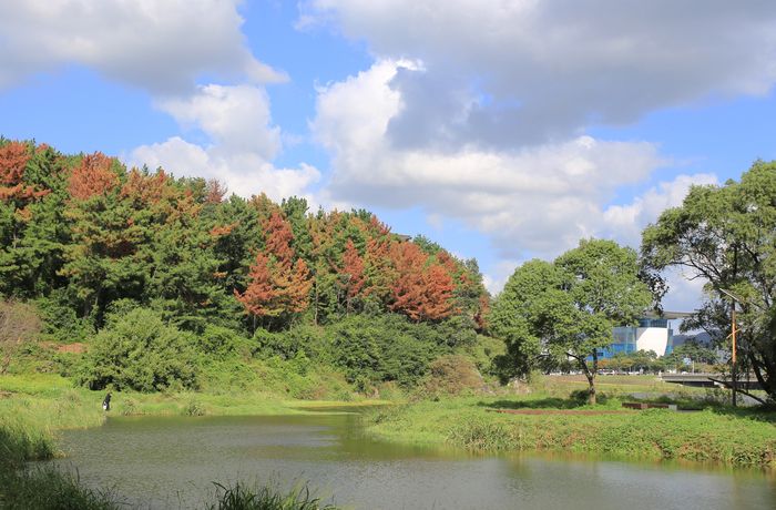 금장대 습지공원/ 사진=한국관광공사