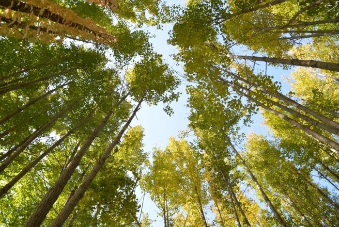 도리마을 / 사진=한국관광공사