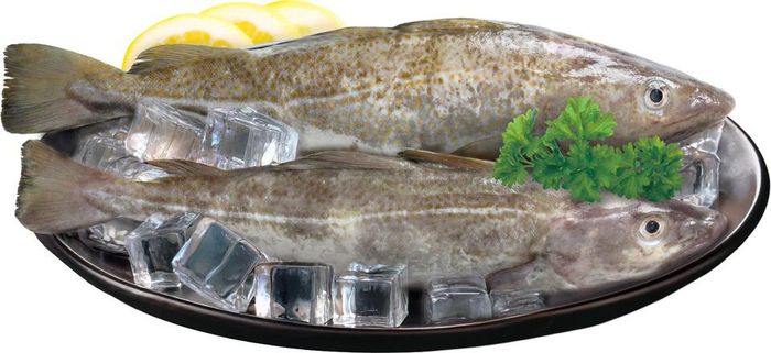 대구 / 사진 = 해양수산부