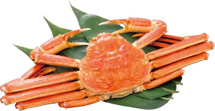 대게류 / 사진 = 해양수산부