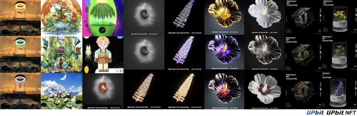 두나무가 발행한 ‘시드볼트 NFT 컬렉션’. 멸종위기 식물의 종자와 개화 모습을 3D 아트로 구현했다. 이 NFT 프로젝트는 가상자산 기술을 활용해 실제 생태계를 복원하는 ESG 경영의 성공 사례로 평가받는다. [사진=두나무]