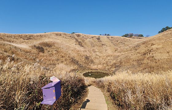 정상 옆 돌리네