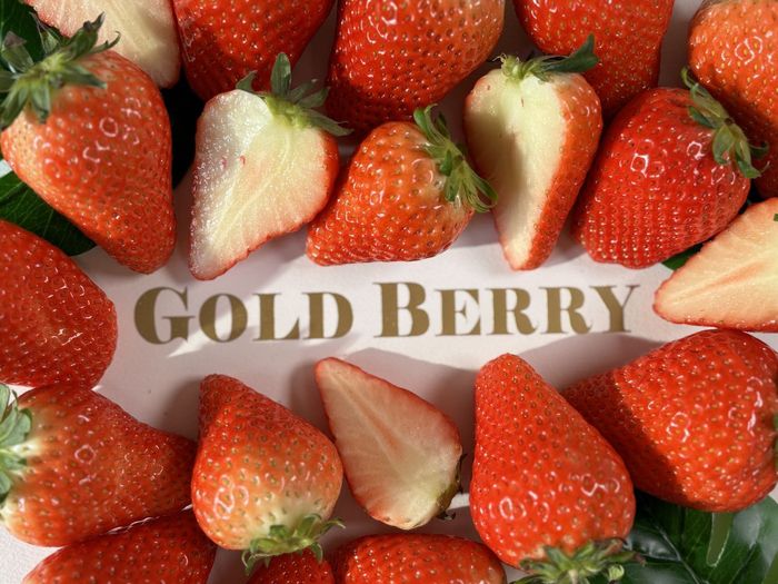 신세계라이브쇼핑이 판매하는 골드베리 딸기. 신세계라이브쇼핑